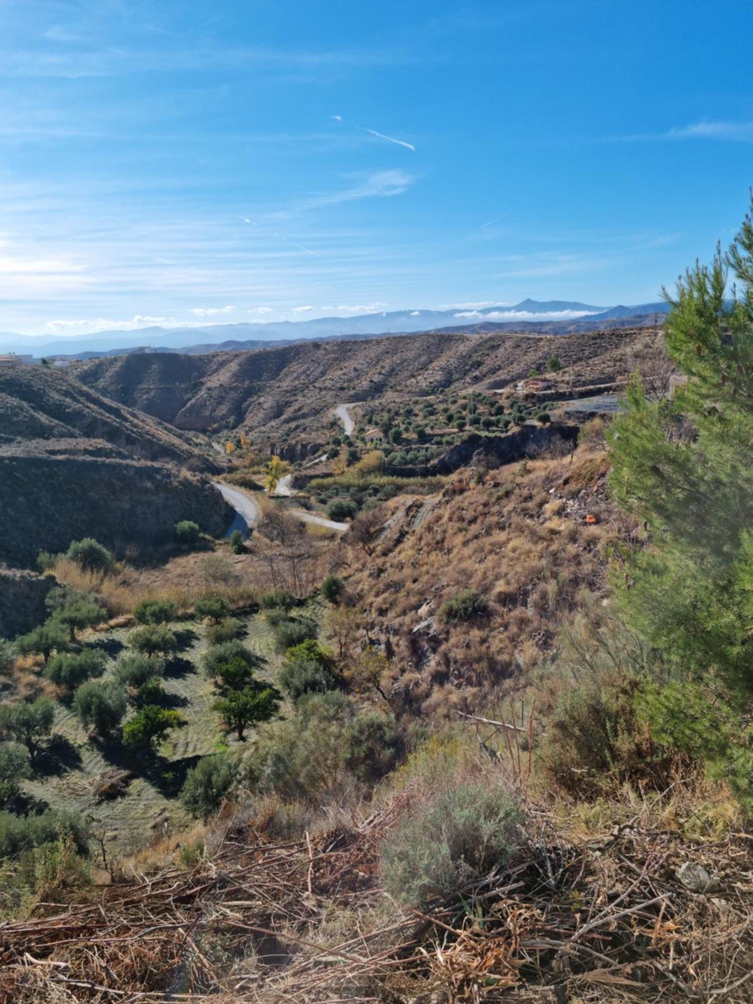 Cortijo Naturista Con Vistas-Clothing Optional Oria Exterior photo